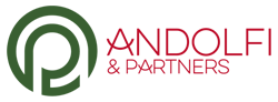 Andolfi e Partners